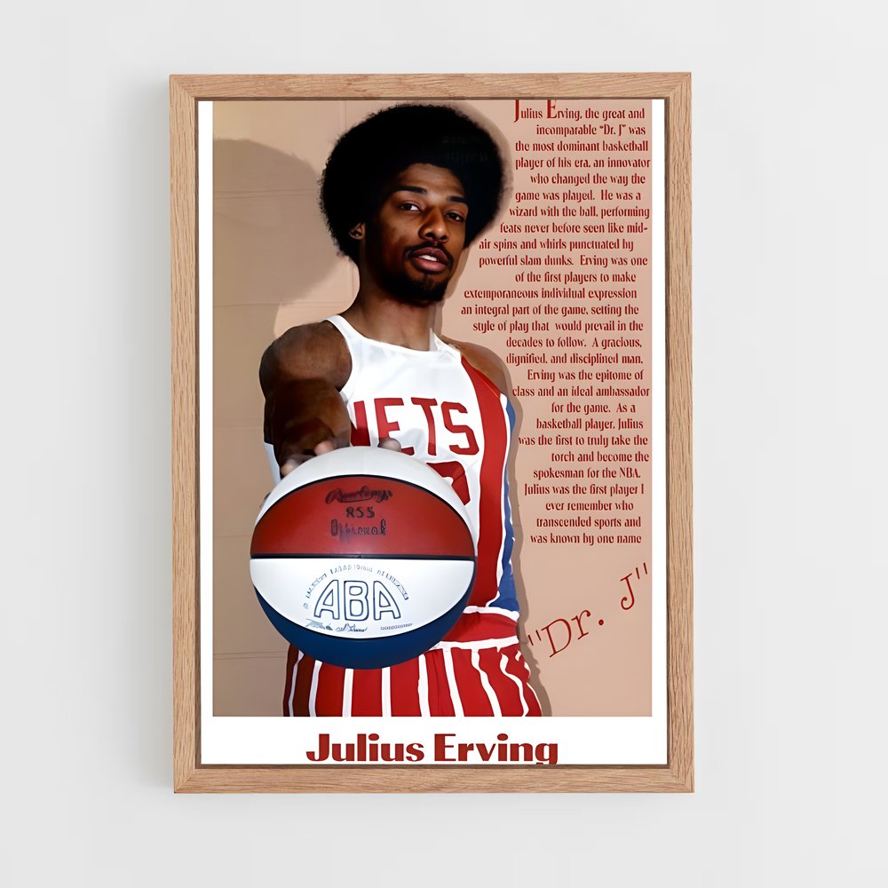 Poster L'Héritage du Dr. J. – affiche Basketball (vue 4)